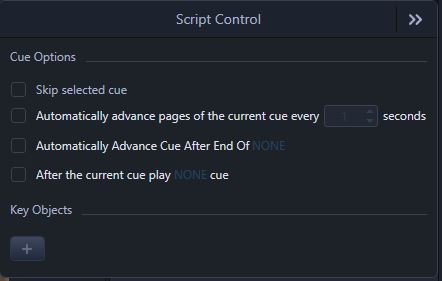 Auto-Advance Setting